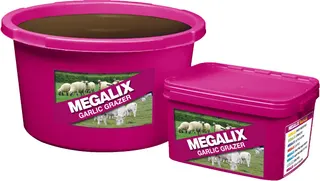 Bloque Repelente Megalix Garlic 20 Kg