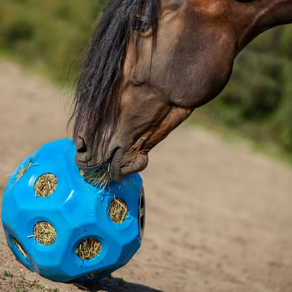 Pelota Comedero HeuBoy para Terneros  y Caballos Azul — foto 3