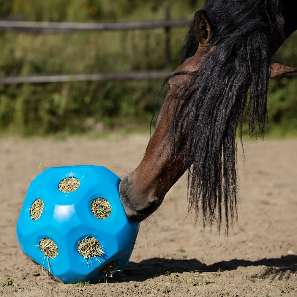 Pelota Comedero HeuBoy para Terneros  y Caballos Azul — foto 2
