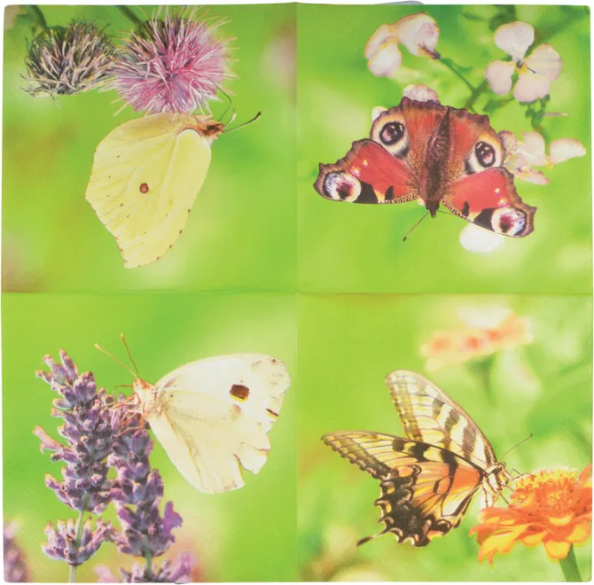 Servilletas de Papel Mariposas 33x33cm Fondo Verde — foto 2