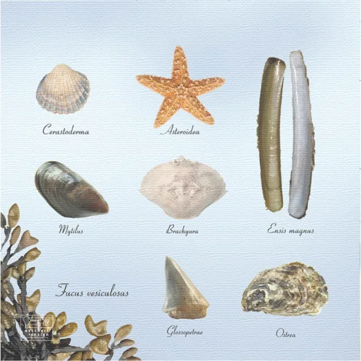 Servilletas de Papel Playa 33x33cm — foto 2