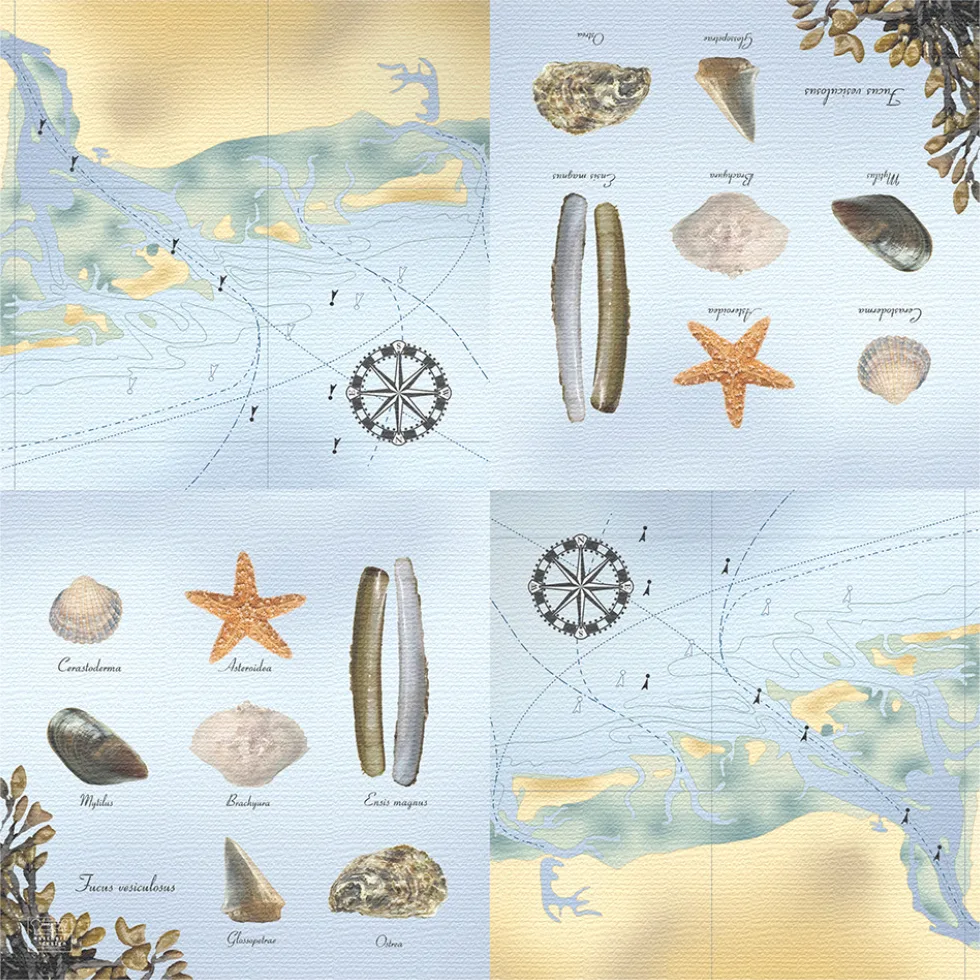 Servilletas de Papel Playa 33x33cm — foto 4