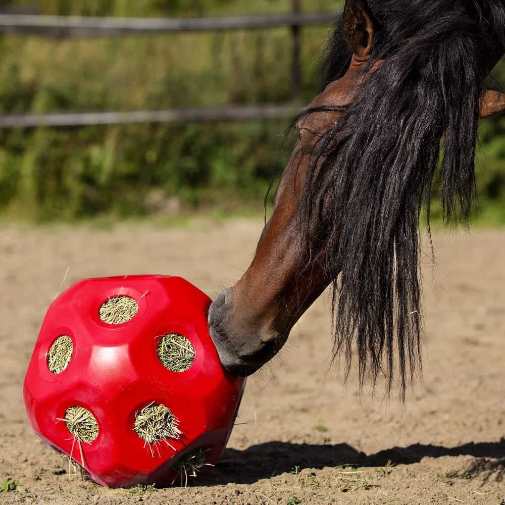 Pelota Comedero HeuBoy para Terneros y Caballos Rojo — foto 2