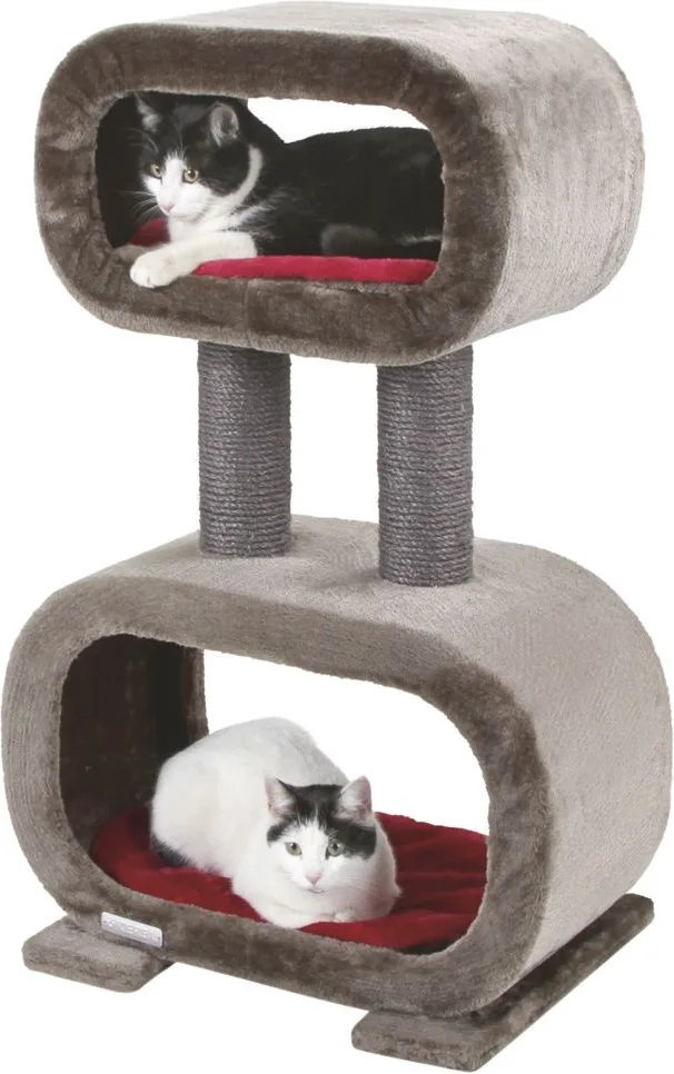 Arbol rascador Gatos Rubin