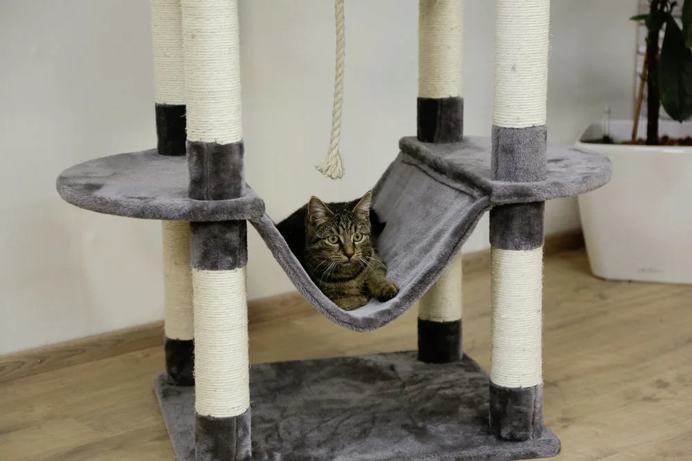 Arbol rascador Gatos Matteo gris — foto 2