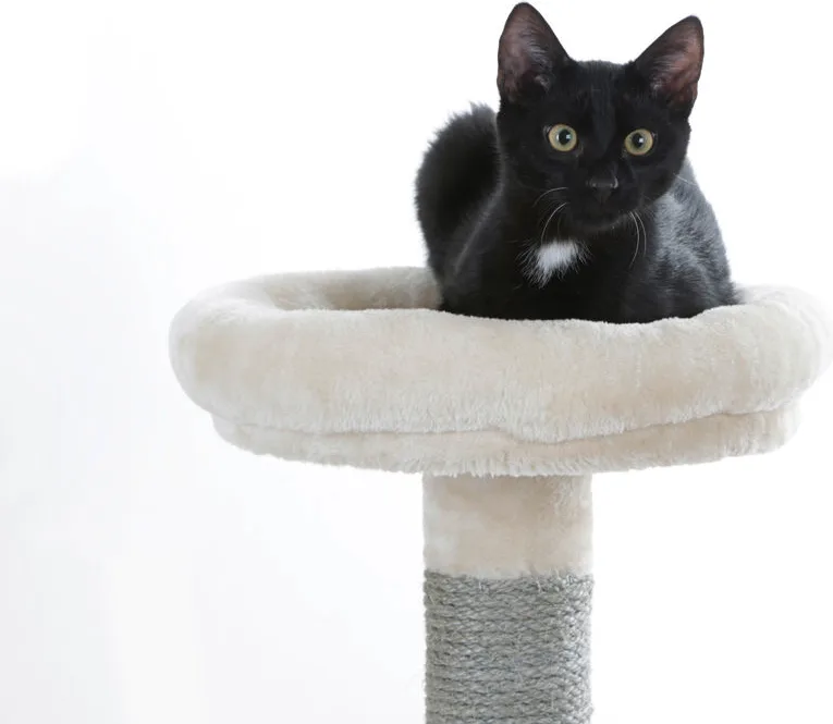 Arbol rascador Gatos Crativ Adventure beis/gris 150 cm — foto 3