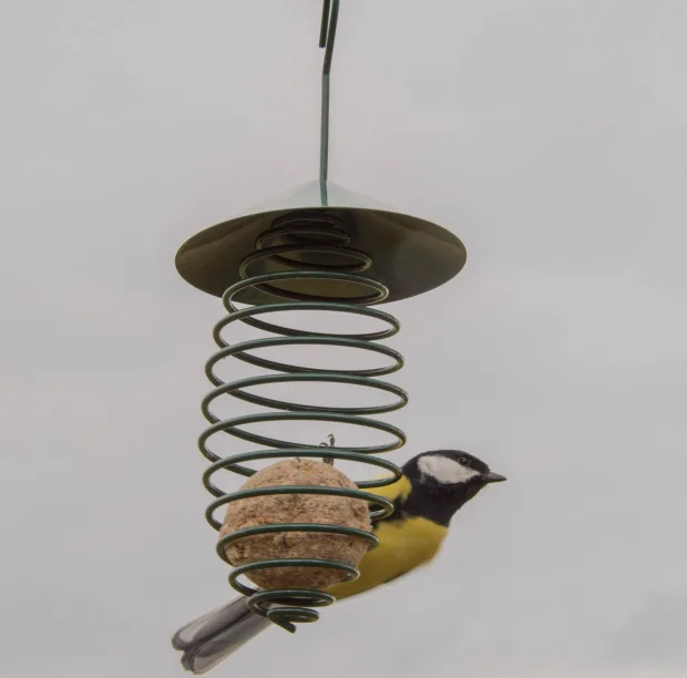 Comedero para Pajaros Muelle con Techo — foto 4