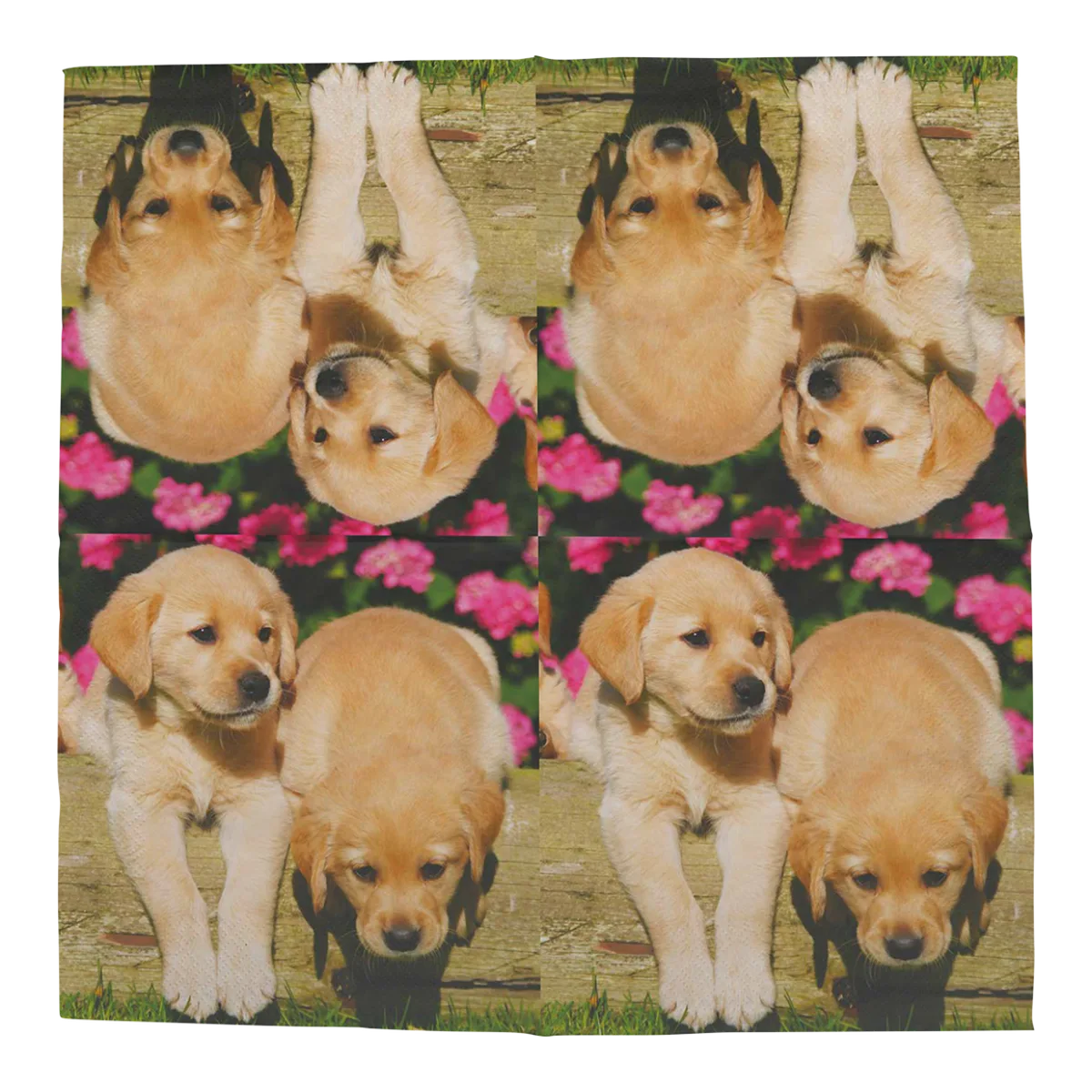 Servilletas de Papel Cachorritos 33x33cm — foto 4