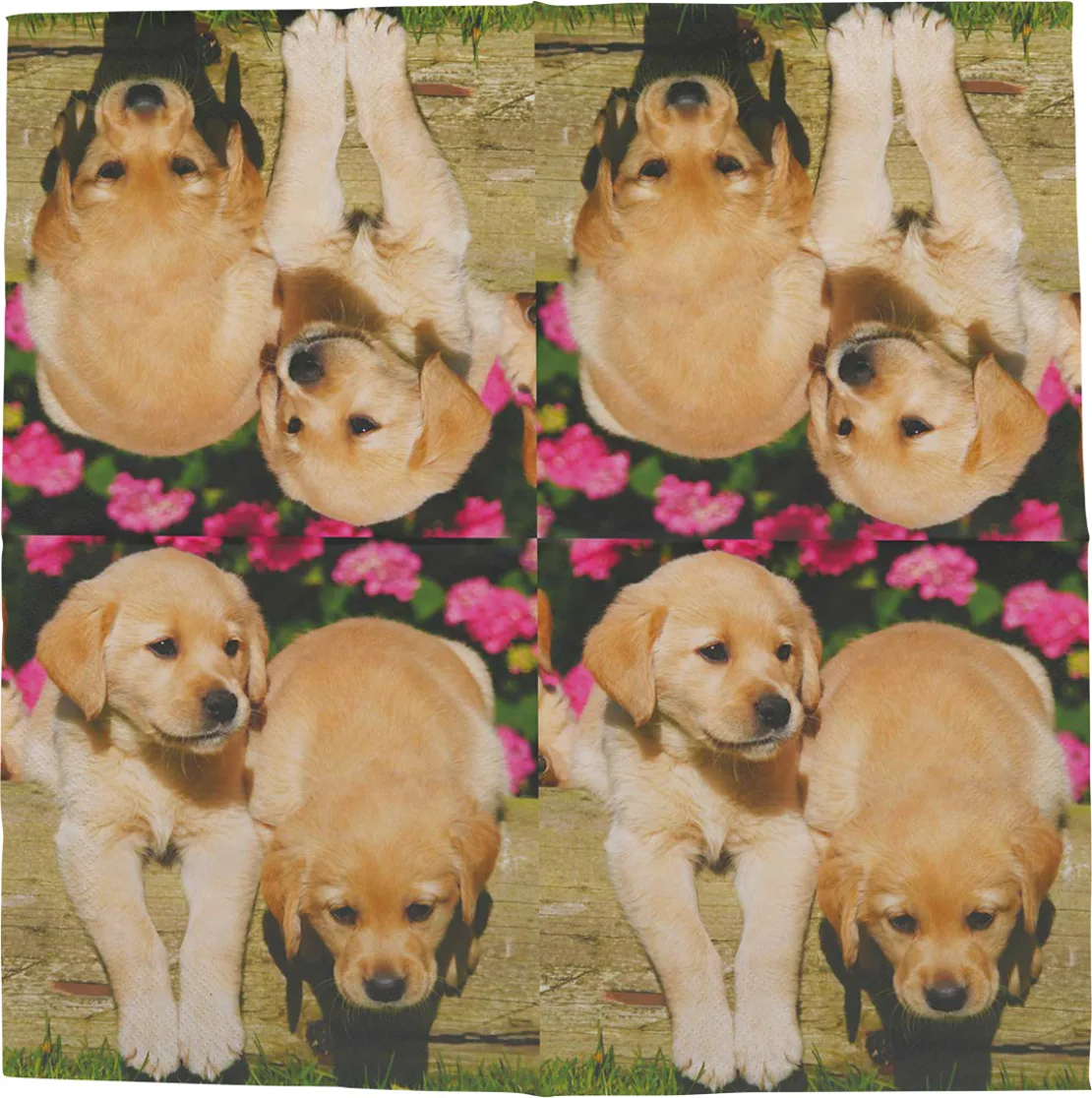Servilletas de Papel Cachorritos 33x33cm — foto 2