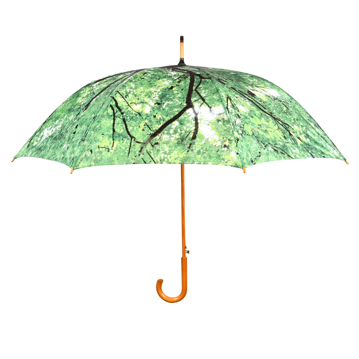 Paraguas Diseño Arbol