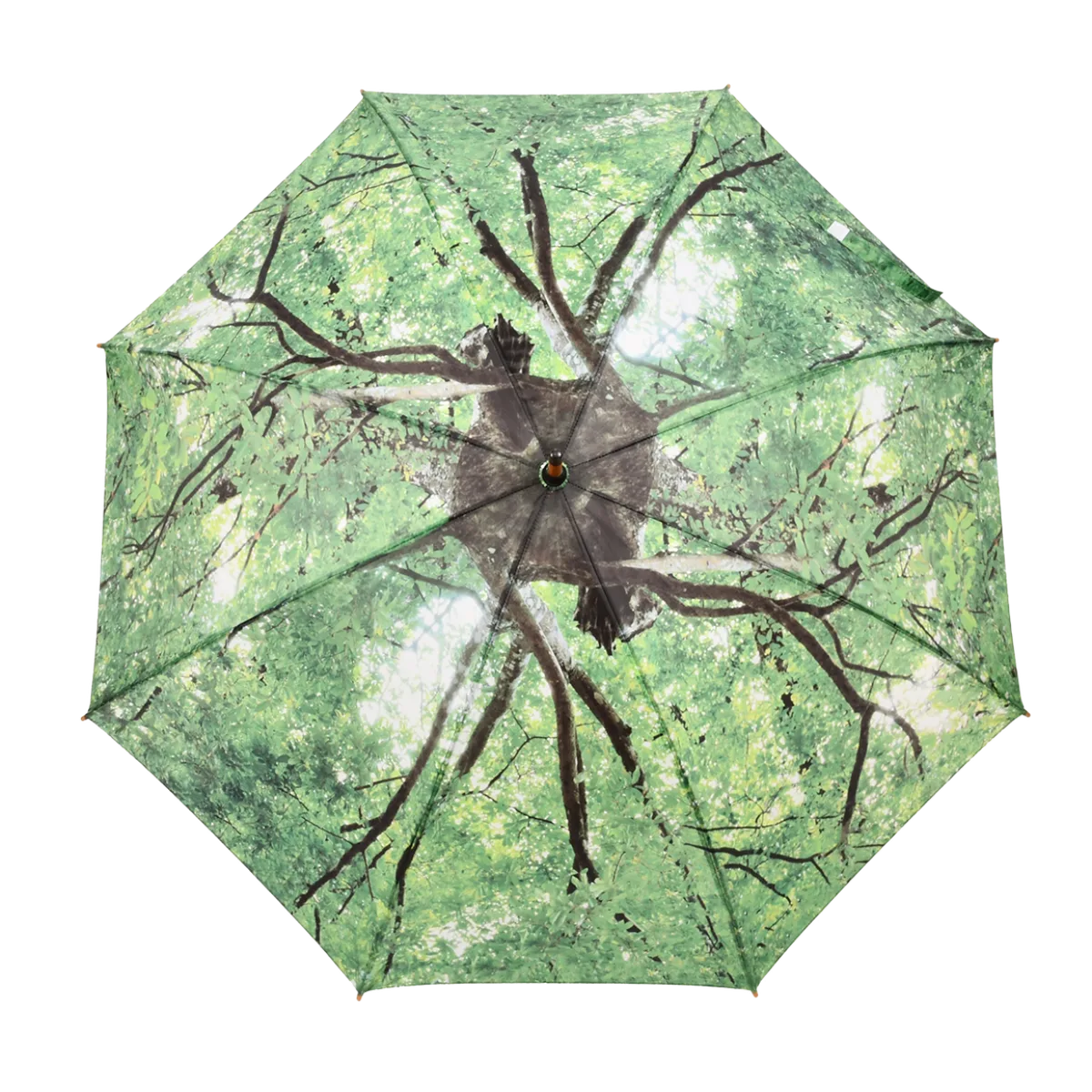 Paraguas Diseño Arbol — foto 6