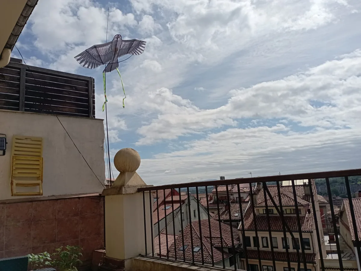 Espantapajaros Halcon Vela — foto 5