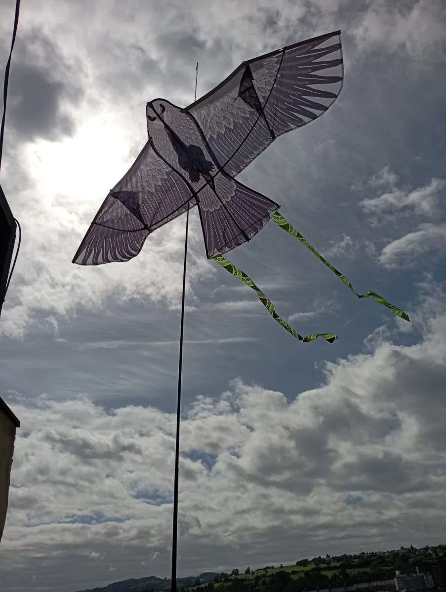 Espantapajaros Halcon Vela — foto 4