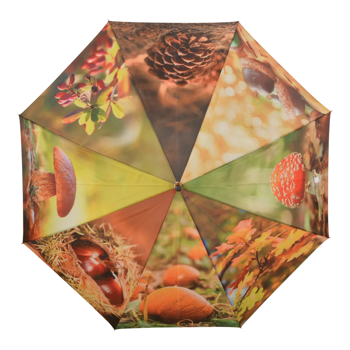 Paraguas Diseño Otoño — foto 2