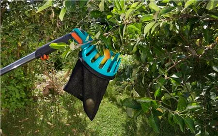 Recolector de Frutas Combisys Gardena — foto 8