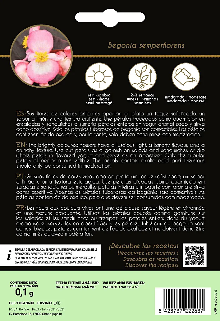 Semilla Flor Comestible Begonia — foto 2