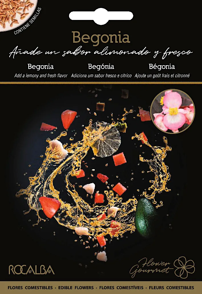 Semilla Flor Comestible Begonia