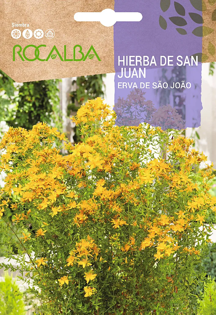 Semilla Hierba de San Juan