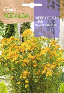 Semilla Hierba de San Juan