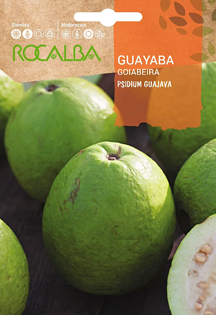 Semilla Guayaba — foto principal