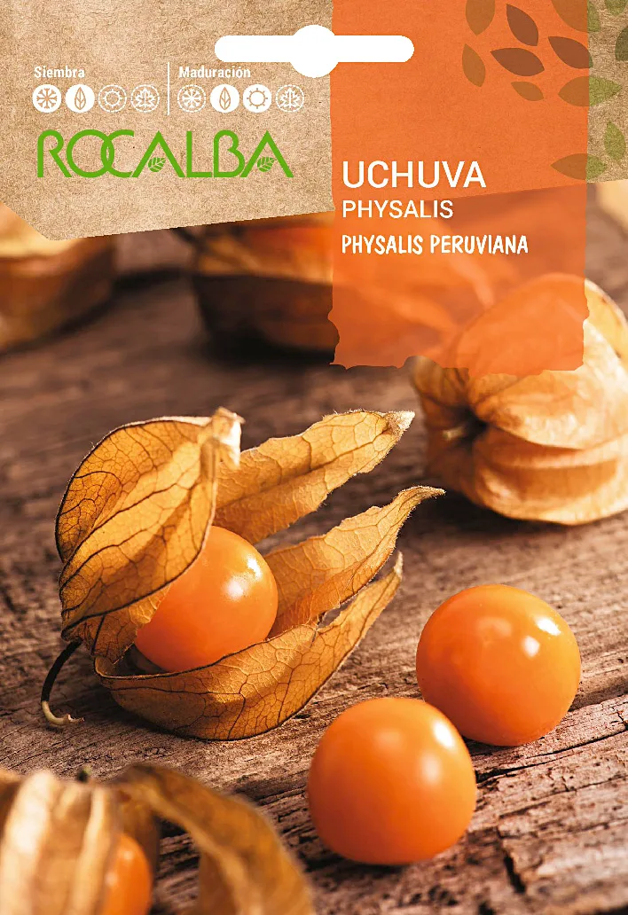 Semilla Uchuva Physalis Peruviana — foto principal
