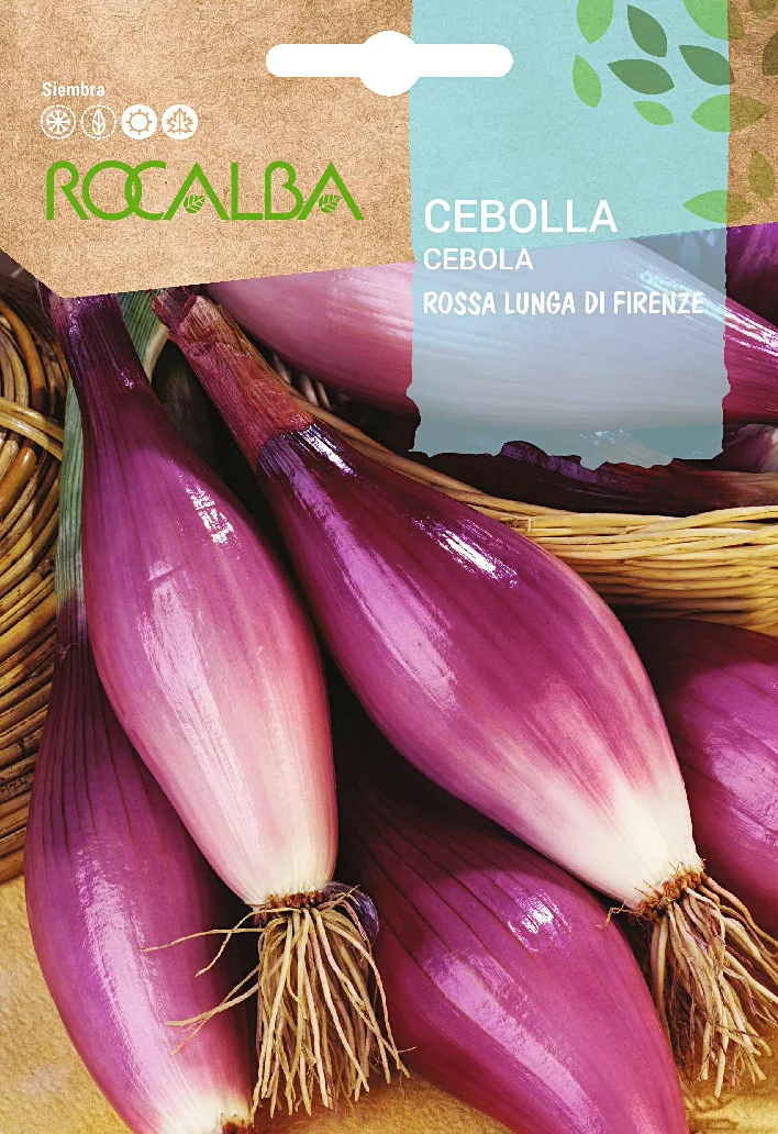 Semilla Cebolla Rossa Lunga di Firenze