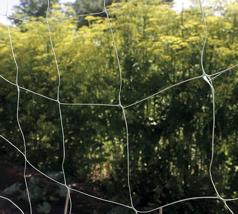 Malla Entutorar Biocompostable Trellinet 1,85 x 10 Metros — foto 3