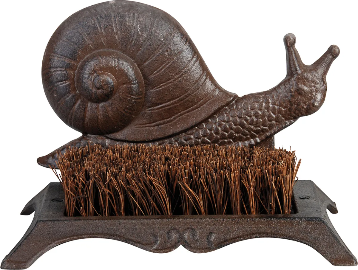 Caracol Limpiabotas — foto principal