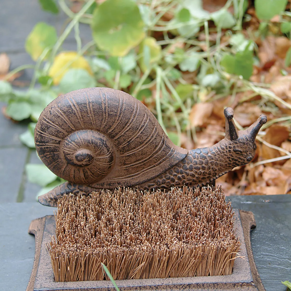 Caracol Limpiabotas — foto 3