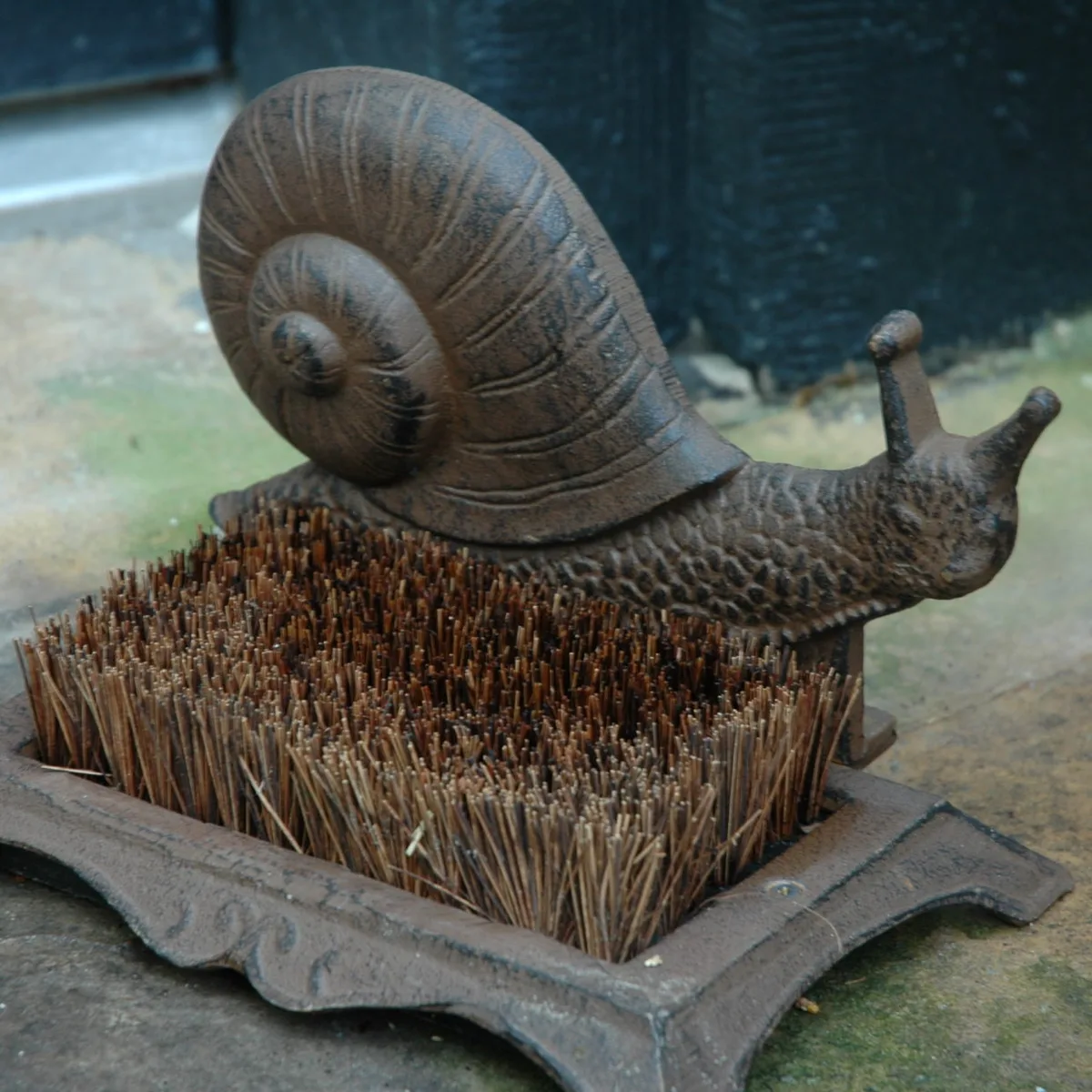 Caracol Limpiabotas — foto 2