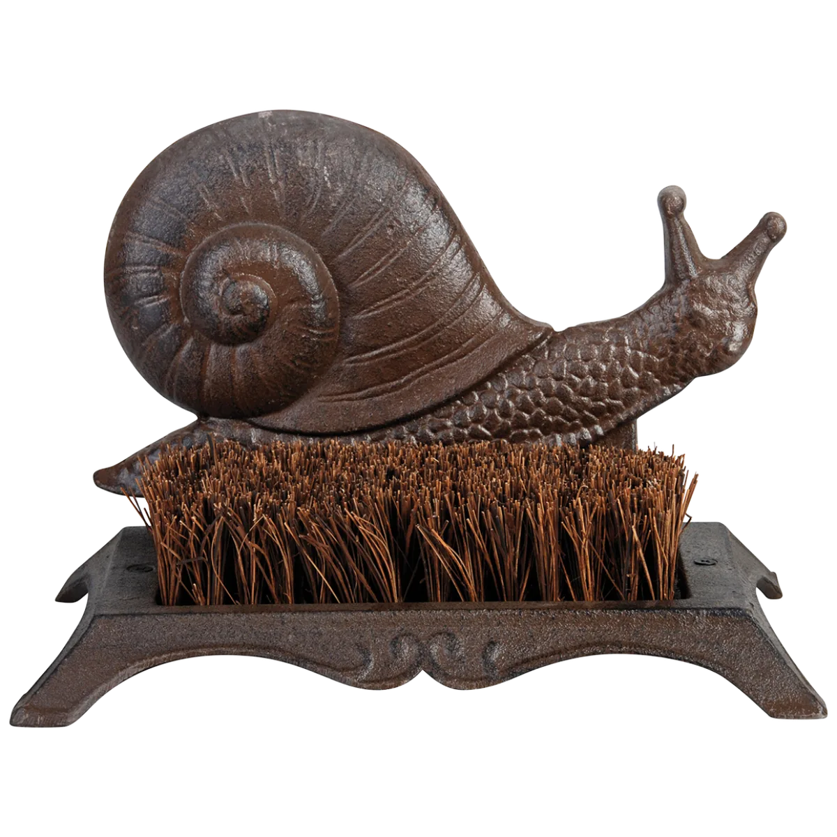 Caracol Limpiabotas