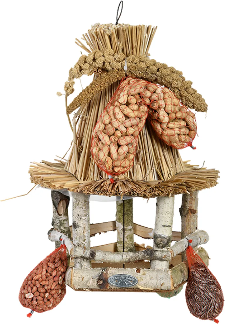 Mesa Colgante para Pajaros con Comida — foto principal