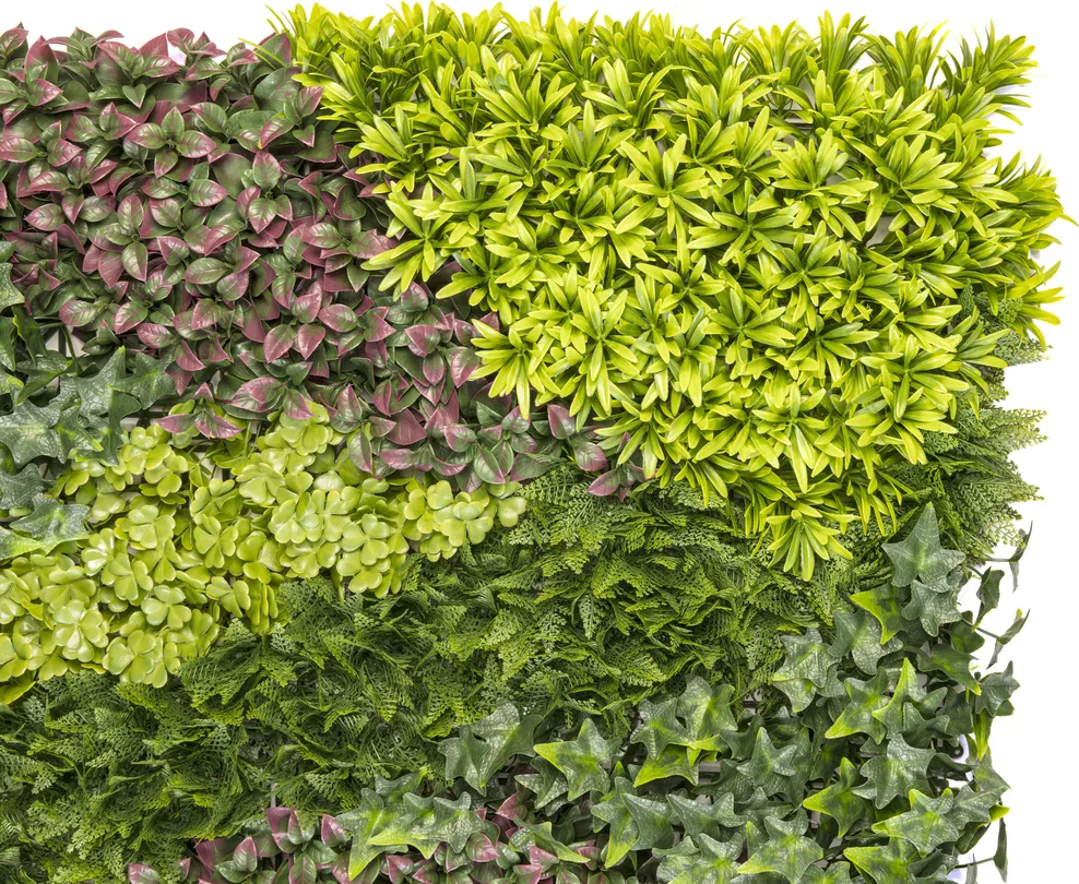 Jardin Vertical Costa 1x1 Metro — foto 4