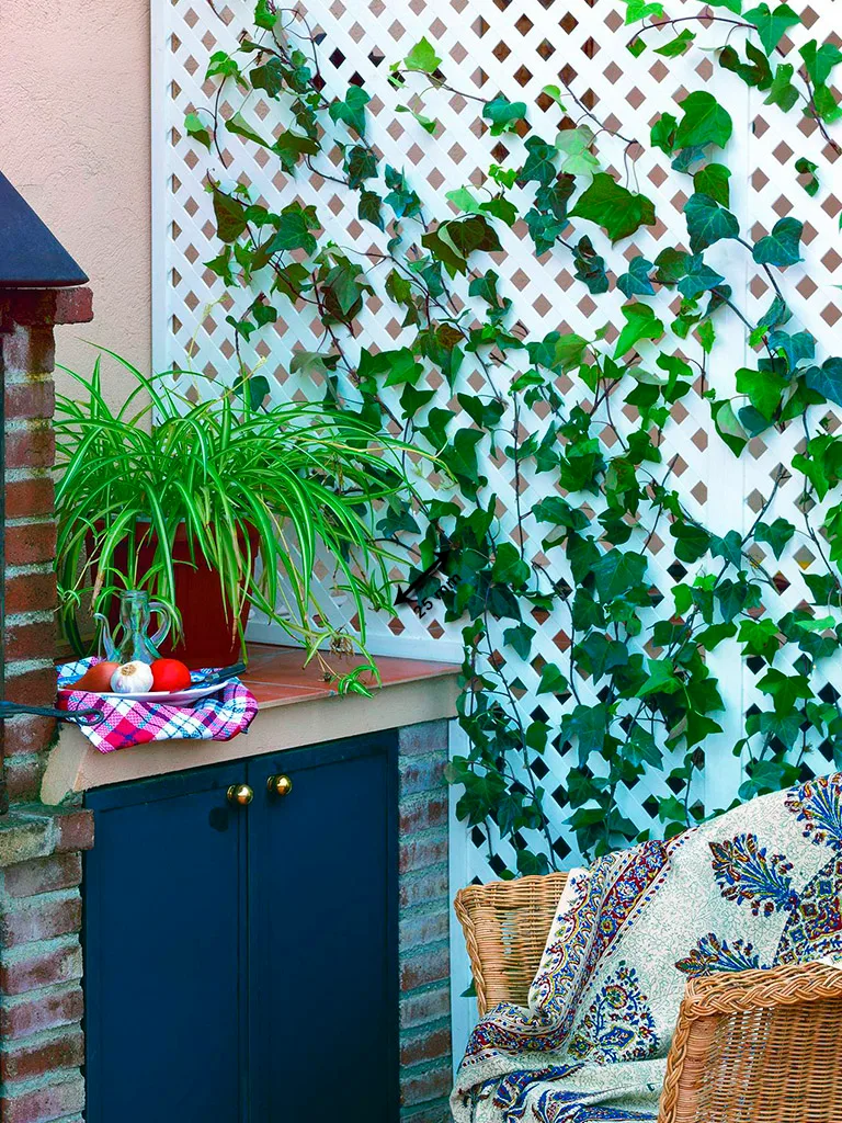 Panel Celosia Privat Blanco 1x2 Metros — foto 6