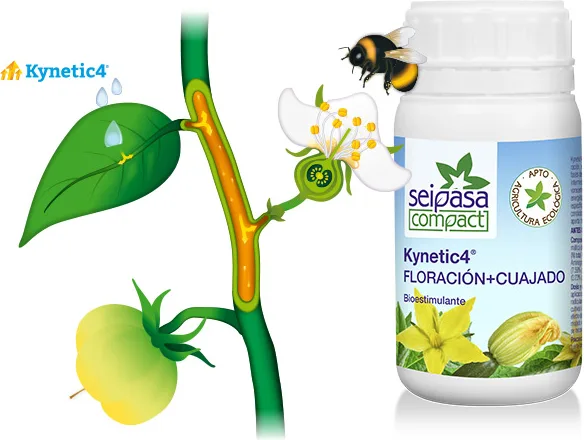 Bioestimulante Floracion y Cuajado Kynetic4 250 ml — foto 3