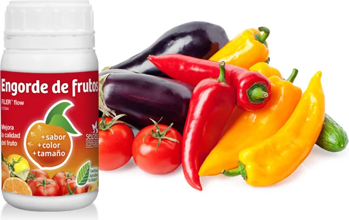 Bioestimulante Engorde Frutos Filerflow 250 ml — foto 2