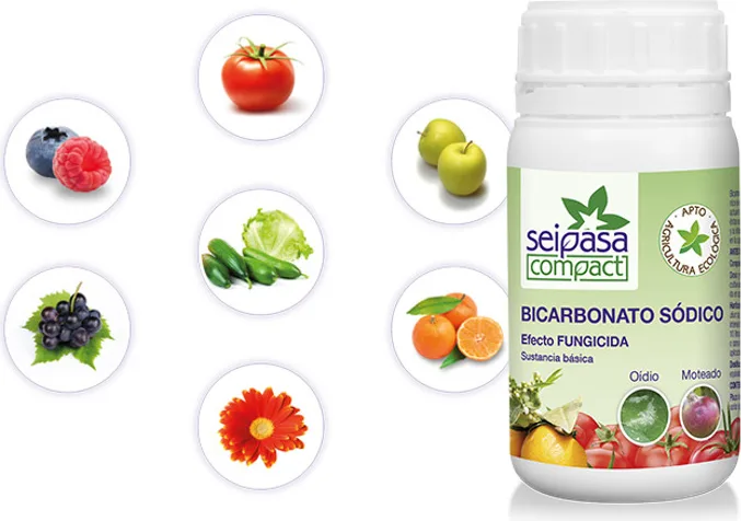 Fungicida Bicarbonato Sodico Basei 2 C 240 gr — foto 3
