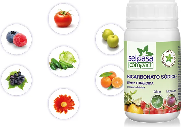 Fungicida Bicarbonato Sodico Basei 2 C 240 gr — foto 2