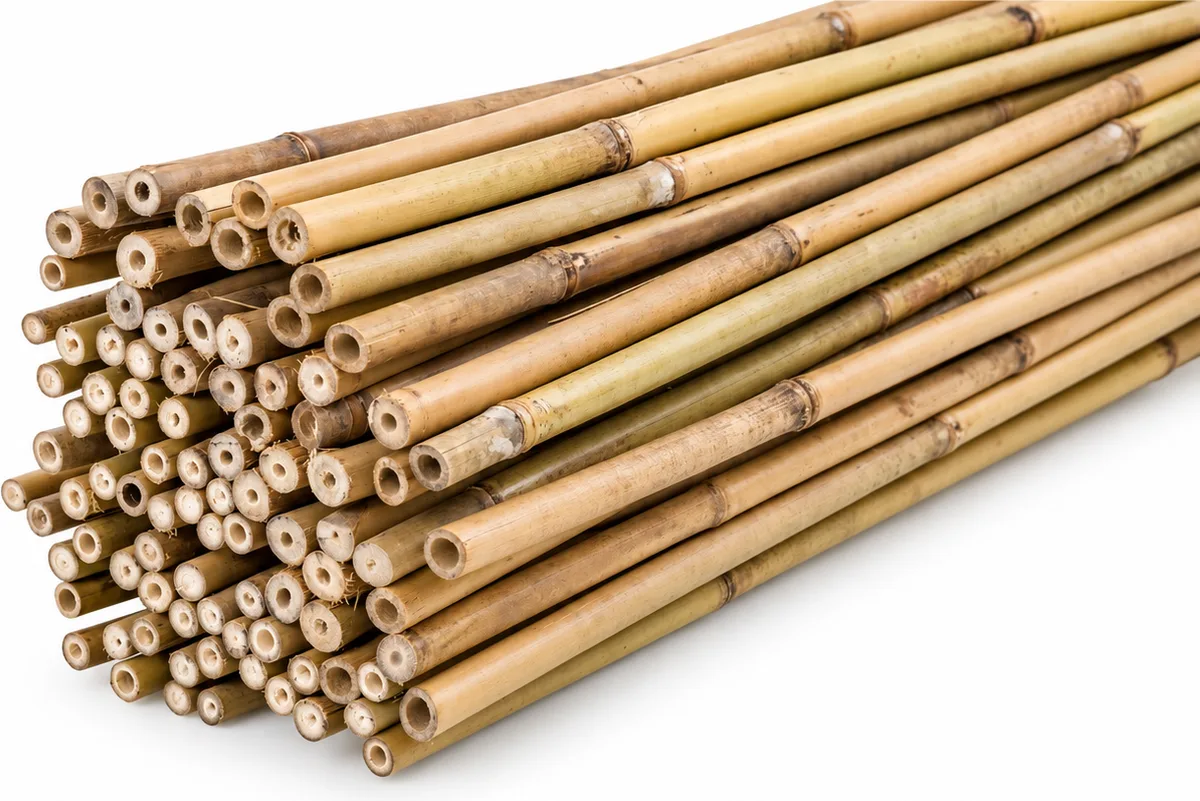 Pack 200 Tutores Bambu 180 cm Grosor 12-14mm — foto 2