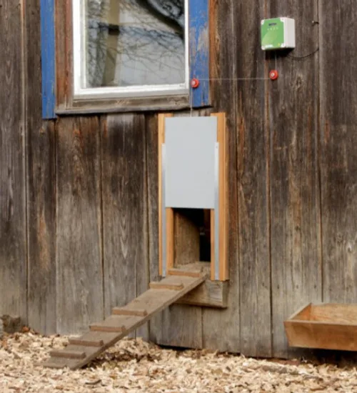 Programador para Puerta Automatica para Gallinas Kerbl — foto 2