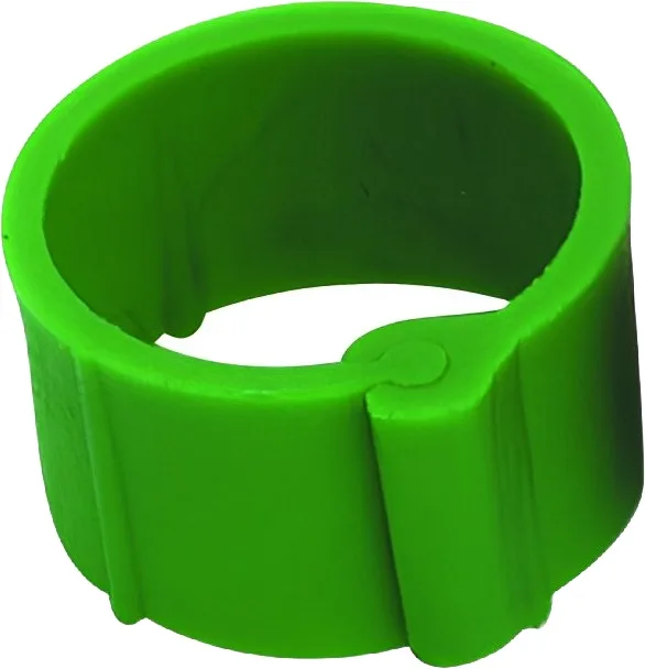 Clip 25 unidades para Gallinas 8mm Color Verde