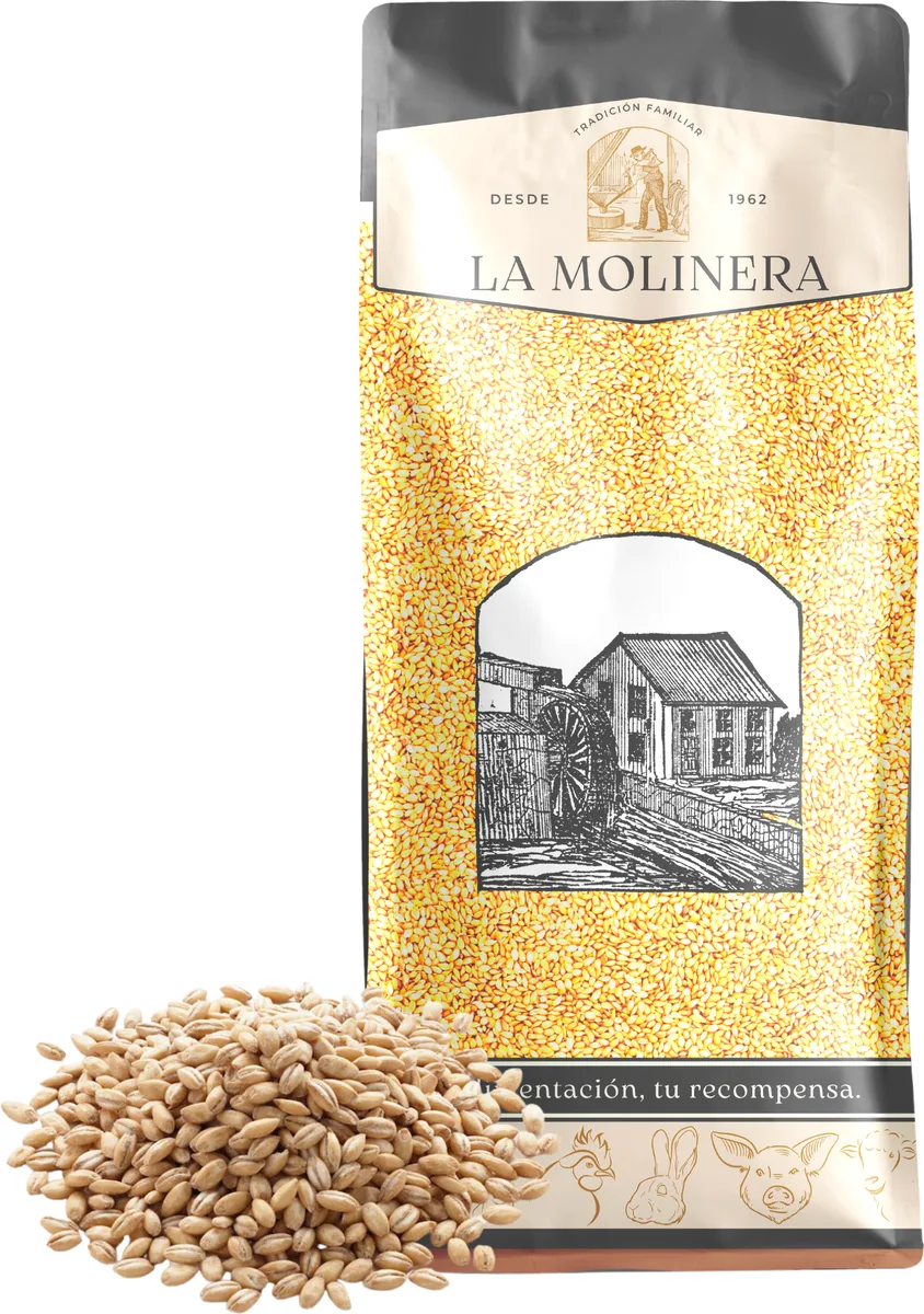 Cebada en Grano 25 kg — foto 2