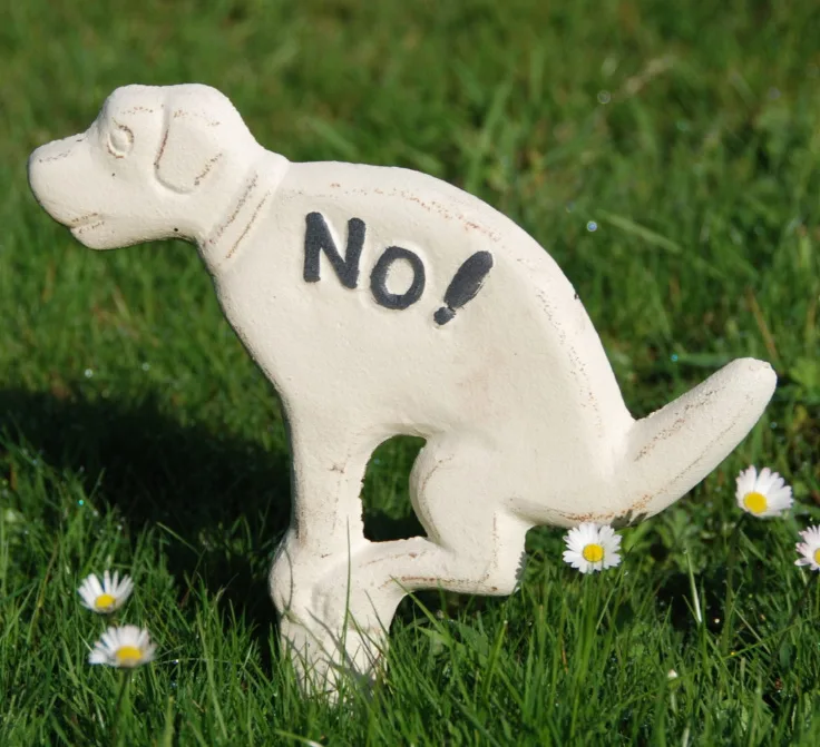 Cartel Prohibido Excremento Perro Diseño Jardin — foto 2