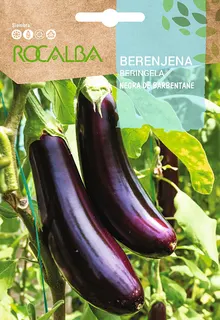 Semilla Berenjena Negra de Barbentane