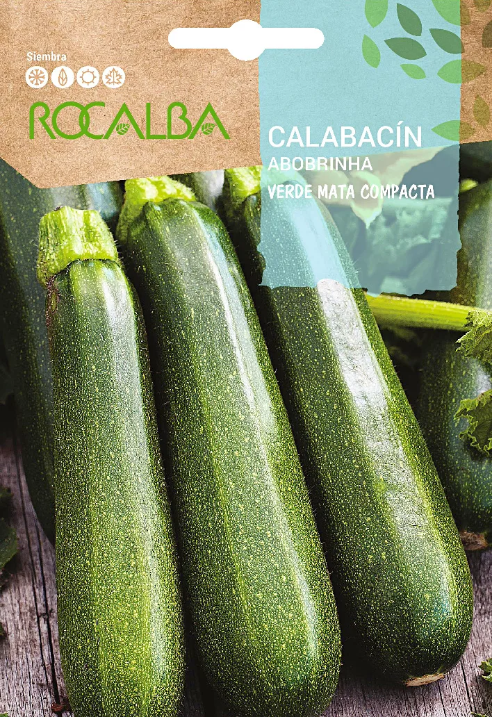 Semilla Calabacin Verde mata compacta