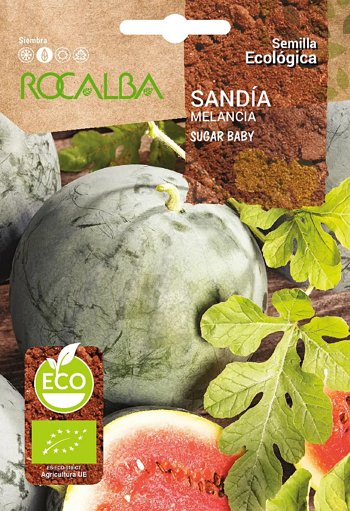 Semilla Ecologica Sandia Sugar Baby
