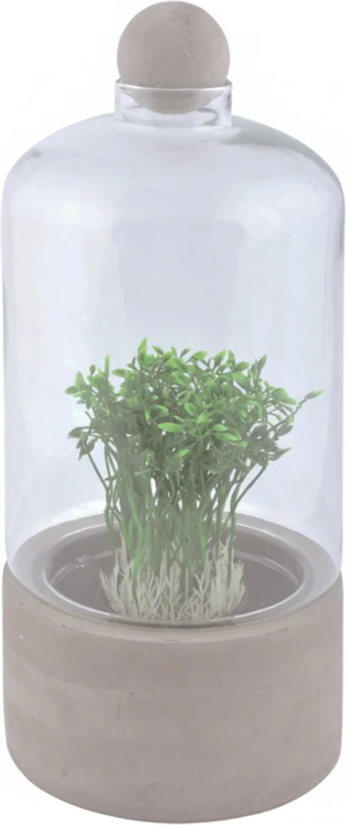 Botella Terrario Base Cemento L