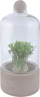 Botella Terrario Base Cemento L