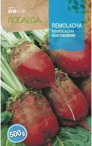 Semilla Remolacha Roja Eckendorf 500 gr — foto 2