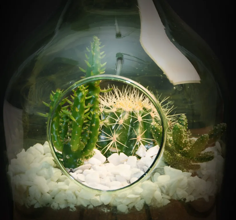 Set Terrario 3L Esschert — foto 3